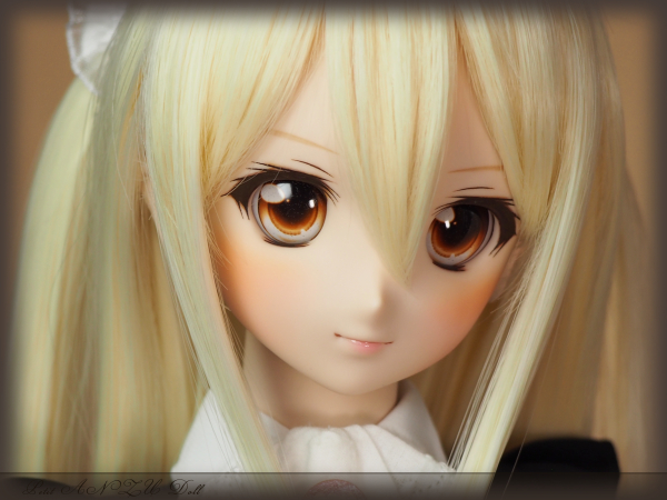 DDH-06 カスタムヘッド ノーマル肌 DD アイ フレッシュ肌 ドルフィー
