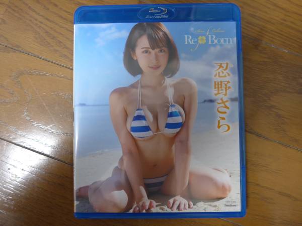 忍野さら　reborn 送料無料