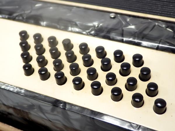アコーディオン TOMBO トンボ ハードケース付き T-32 良品 MM181 32鍵