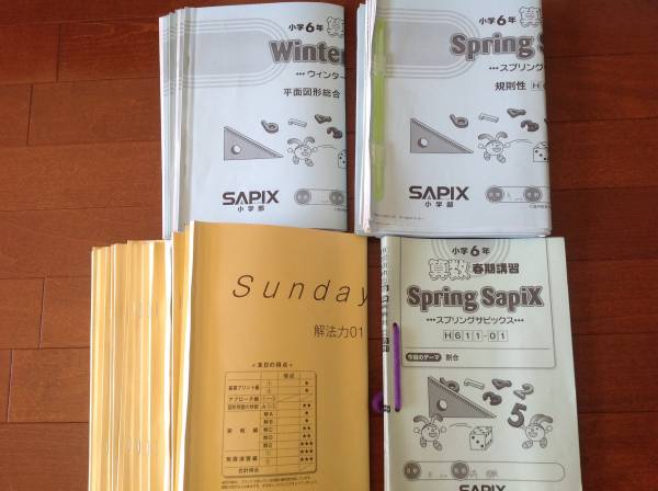 SAPIX サピックス 算数 社会 サピックス6年生算数一年分テキストSAPIX