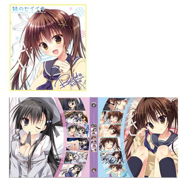 Sale 公式通販 直営店限定 彼女のセイイキ 妹のセイイキ 学校のセイイキ 色紙セット 色紙バインダー おしゃれ人気 Robbreport Com Sg