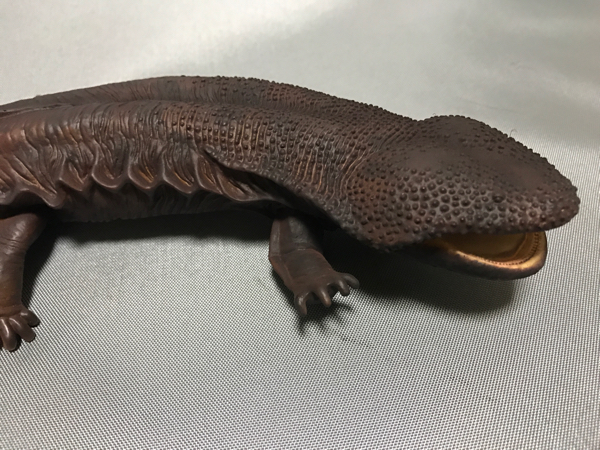 1円 リアル 海洋堂 オオサンショウウオ 吉田悟郎原形 ソフビ製カスタム塗装 完成品 全長31 大山椒魚 生き物 売買されたオークション情報 Yahooの商品情報をアーカイブ公開 オークファン Aucfan Com