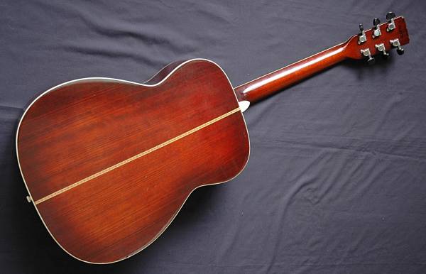 トップ単板 ○モーリス○MORRIS○MF-50○縦ロゴ○単板