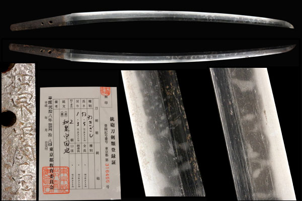 g232491809.3