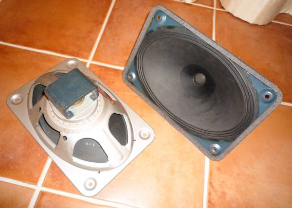 新作登場，100%新品 ISOPHON / TELEFUNKEN、P2132 大型 オーバル