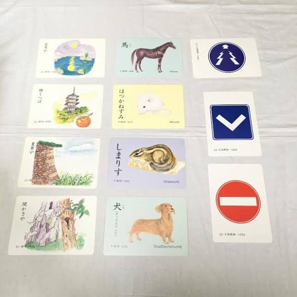 家庭保育園 家庭保育園『たのしい絵カード1500』（5ヶ国語CD10枚 
