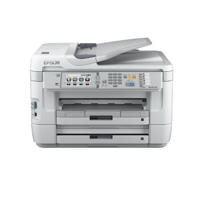 l419919906.5