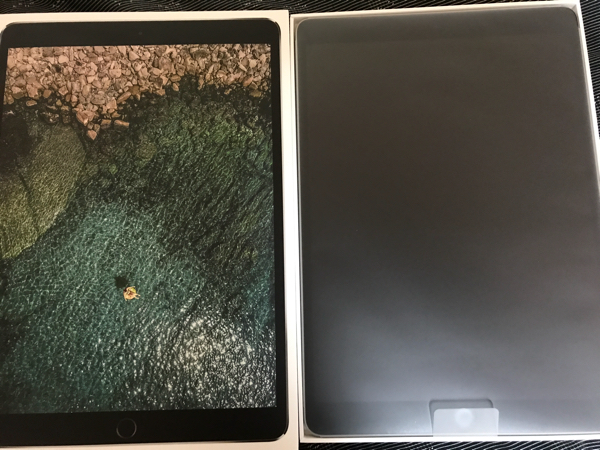 s555565680.1