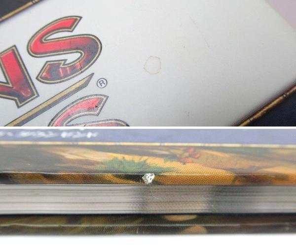 55821★ダンジョンズ&ドラゴンズ 第4版 サプリメント プレイヤーズオプション 妖精郷の勇者/書籍/ハードカバー/ホビージャパン/攻略本/D＆D