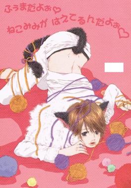 Sexy Zone 同人誌 健人 風磨 漫画 小説 ふぅまだよぉ ねこみみ がはえてるんだよぉ ボーイズラブ 売買されたオークション情報 Yahooの商品情報をアーカイブ公開 オークファン Aucfan Com