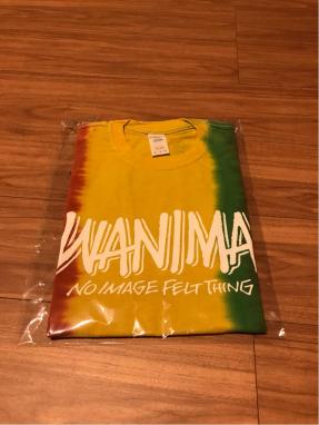 未使用WANIMA新作タイダイTシャツサイズM