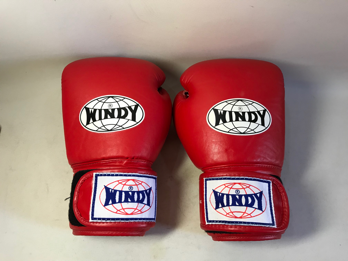 WINDY ボクシンググローブ 12 oz 青 Windy ウィンディ windy 格闘技