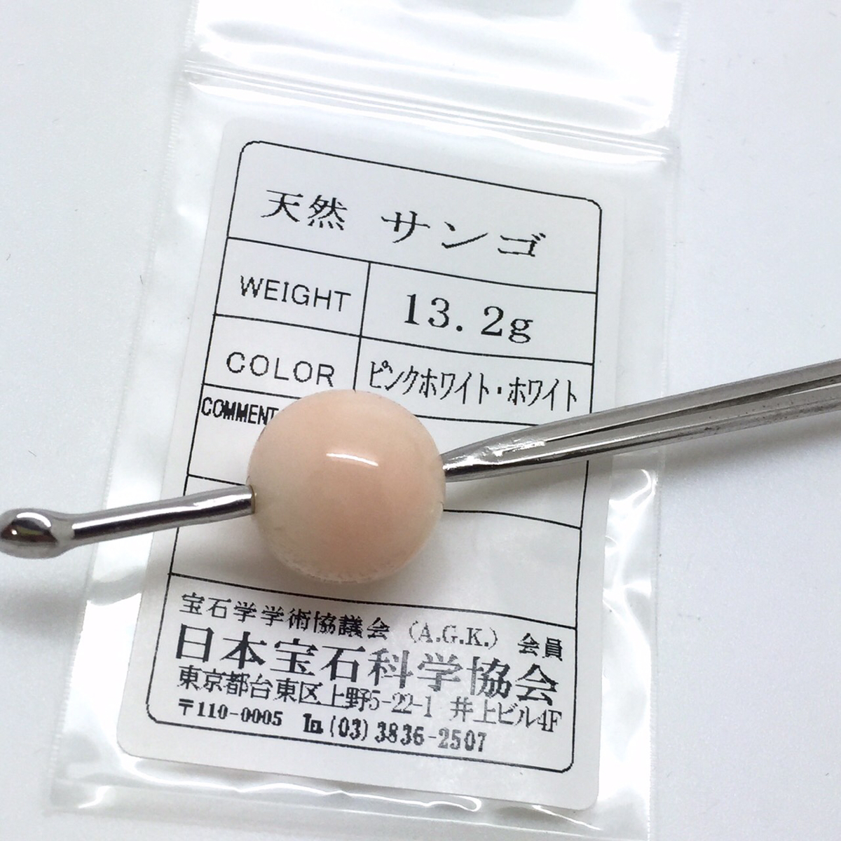 珊瑚のかんざし □天然本珊瑚かんざし□13.2g/16.36mm/14cm サンゴ 