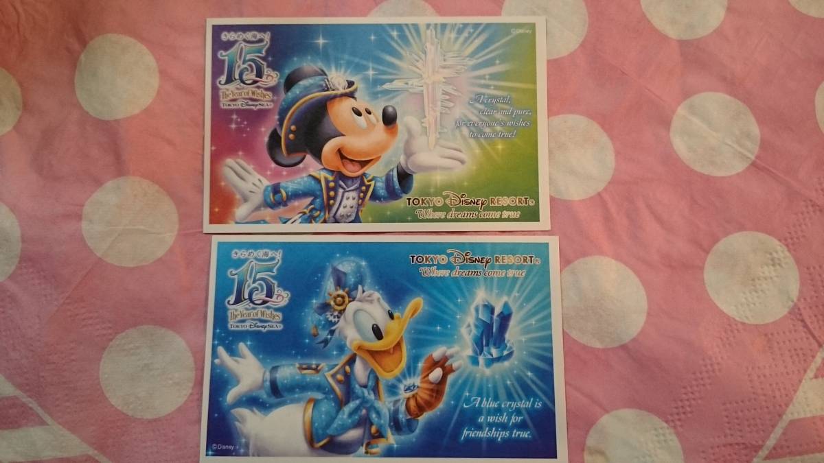 【送料無料・簡易書留】東京ディスニー　スポンサーチケット２枚１組