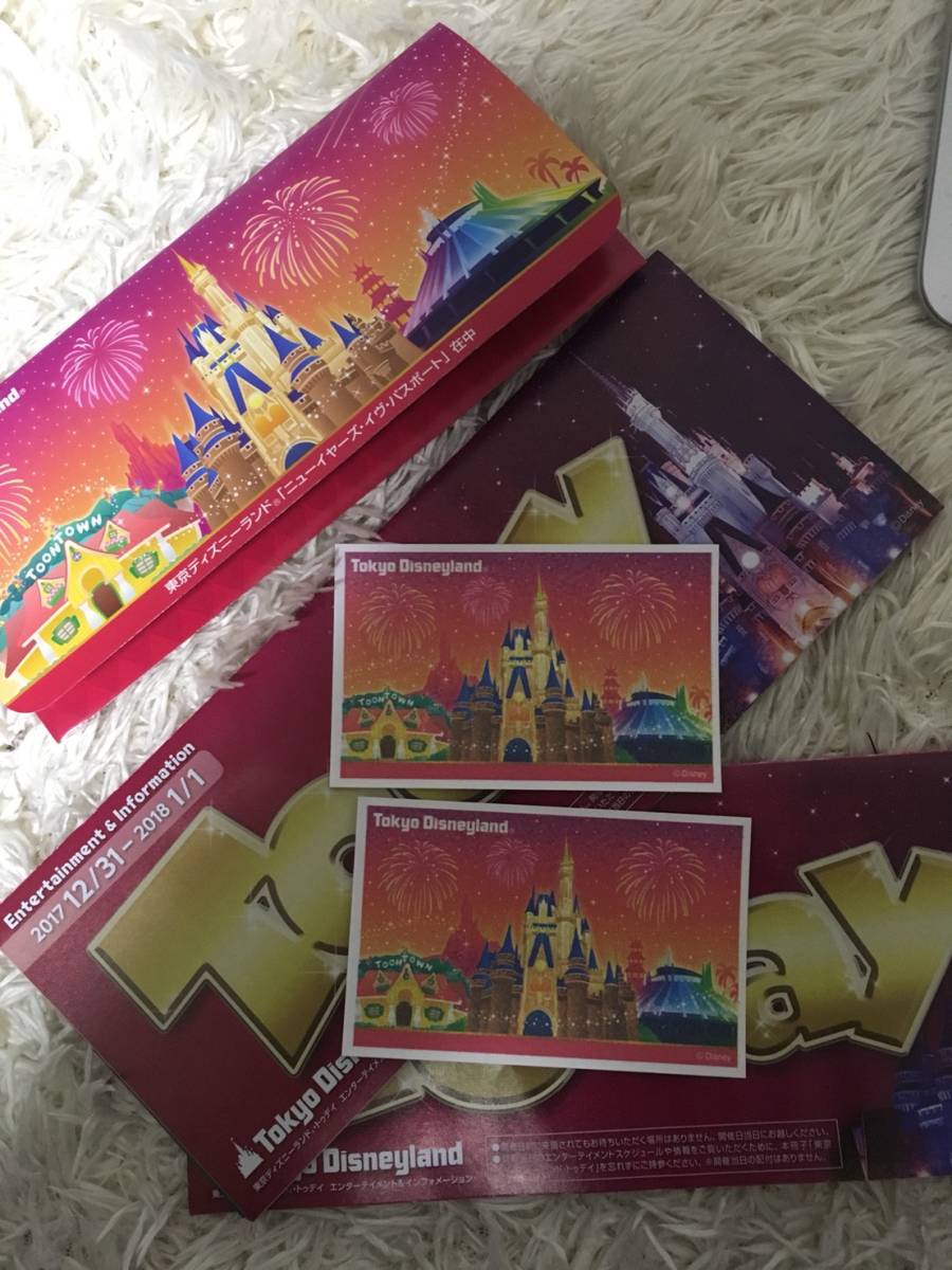東京ディズニーランド ニューイヤーズ・イヴ・パスポート 2枚 送料無料