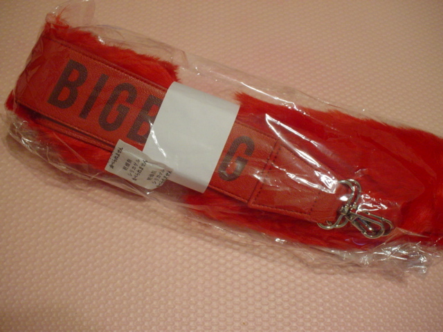 BIGBANG☆JAPAN DOME TOUR2017☆ショルダーストラップ（赤）ヨンベ_1