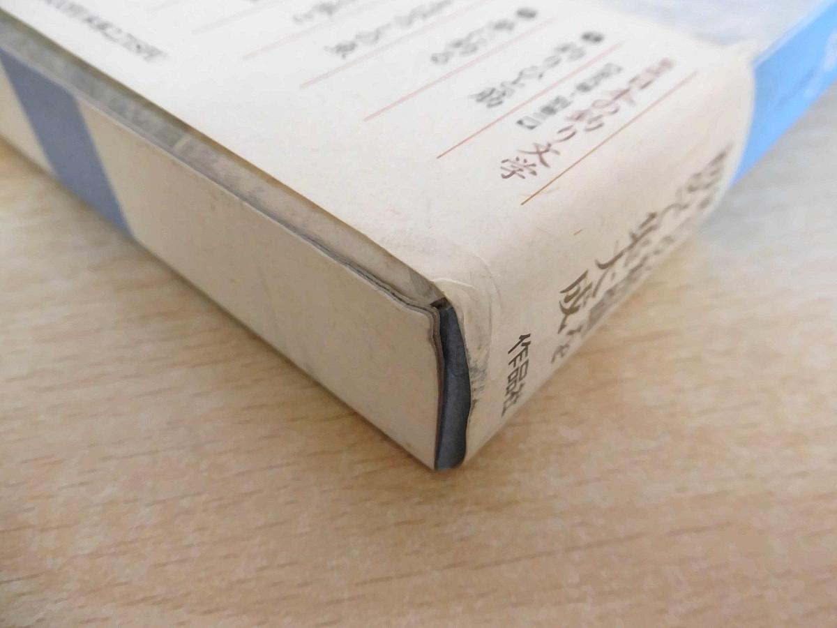 G137 集成 日本の釣り文学 全9巻+別巻2巻 作品社