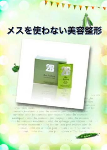 2B バイオプランツ 5g×4袋 2B バイオプランタ バイオプランツ 2袋