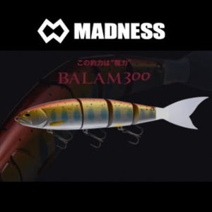 バラム300 マドネス レーザーハス MADNESS BALAM300 バラム300
