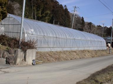 宮城県 ビニールハウス 3間3棟 3間半1棟 ビニール付き 解体引取限定 