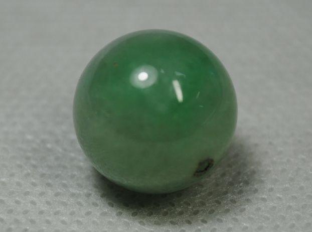 g281834690.1