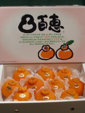 【京の果実屋】凸百恵でこももえ （不知火・デコポン）　約10玉～約13玉【佐賀県産】