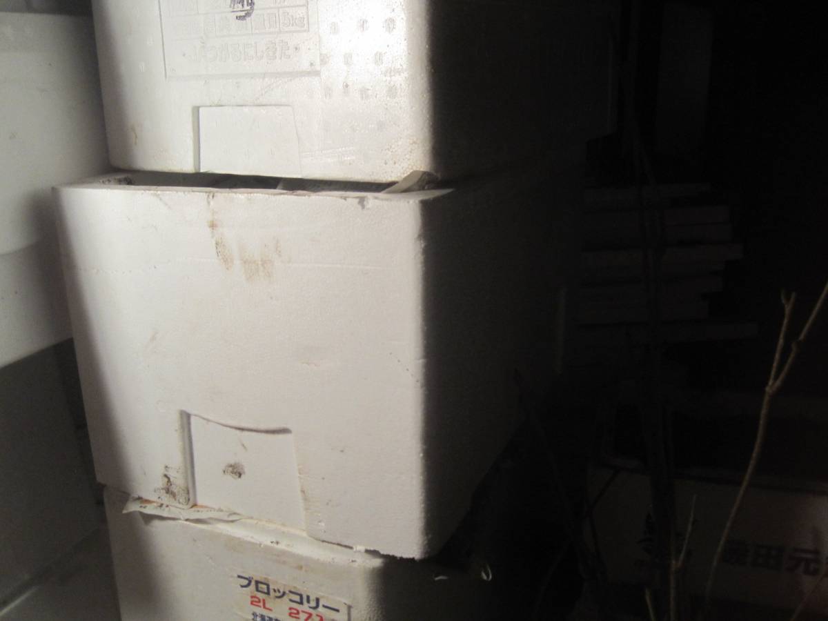 お待たせ致しました。キクイモ３キロ。天然ですから、血統値下がります。安心。安全です。。_3