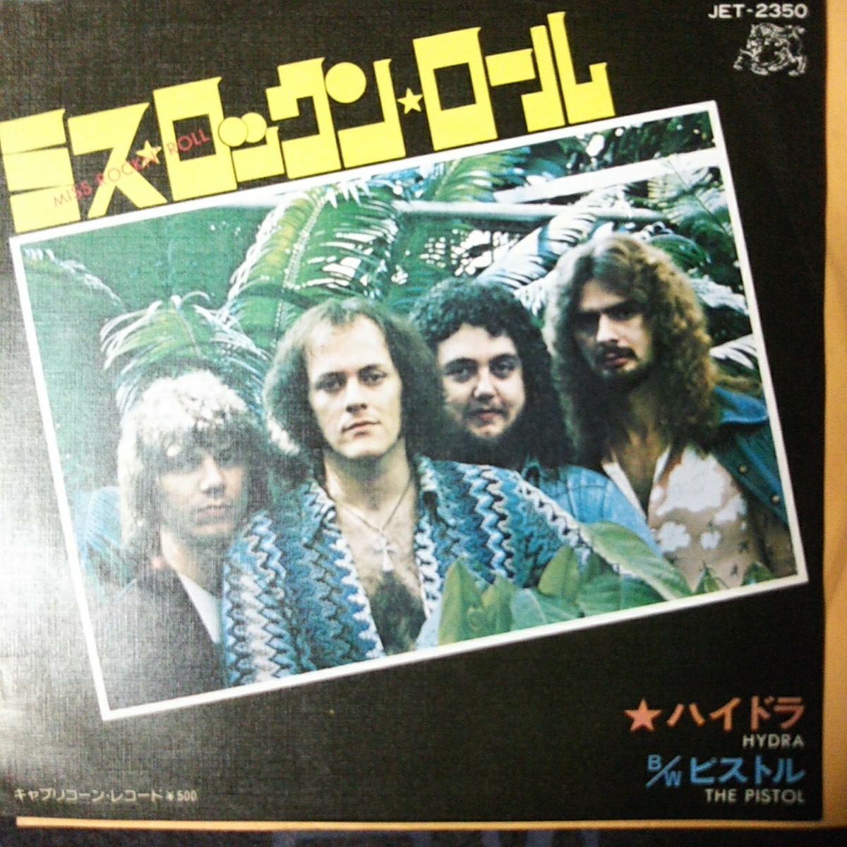 ミス ロックン ロール miss rock n roll ハイドラ hydra サザンロック(一般)｜売買されたオークション情報、yahooの ...