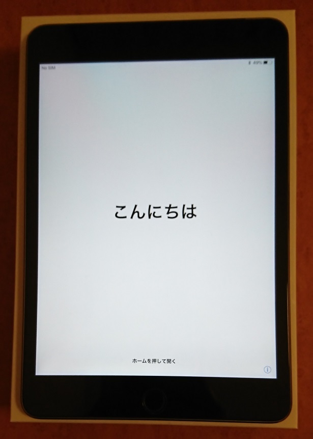 iPad mini Wi-Fi+Cellular docomo mini4 0 128GB Apple シルバー