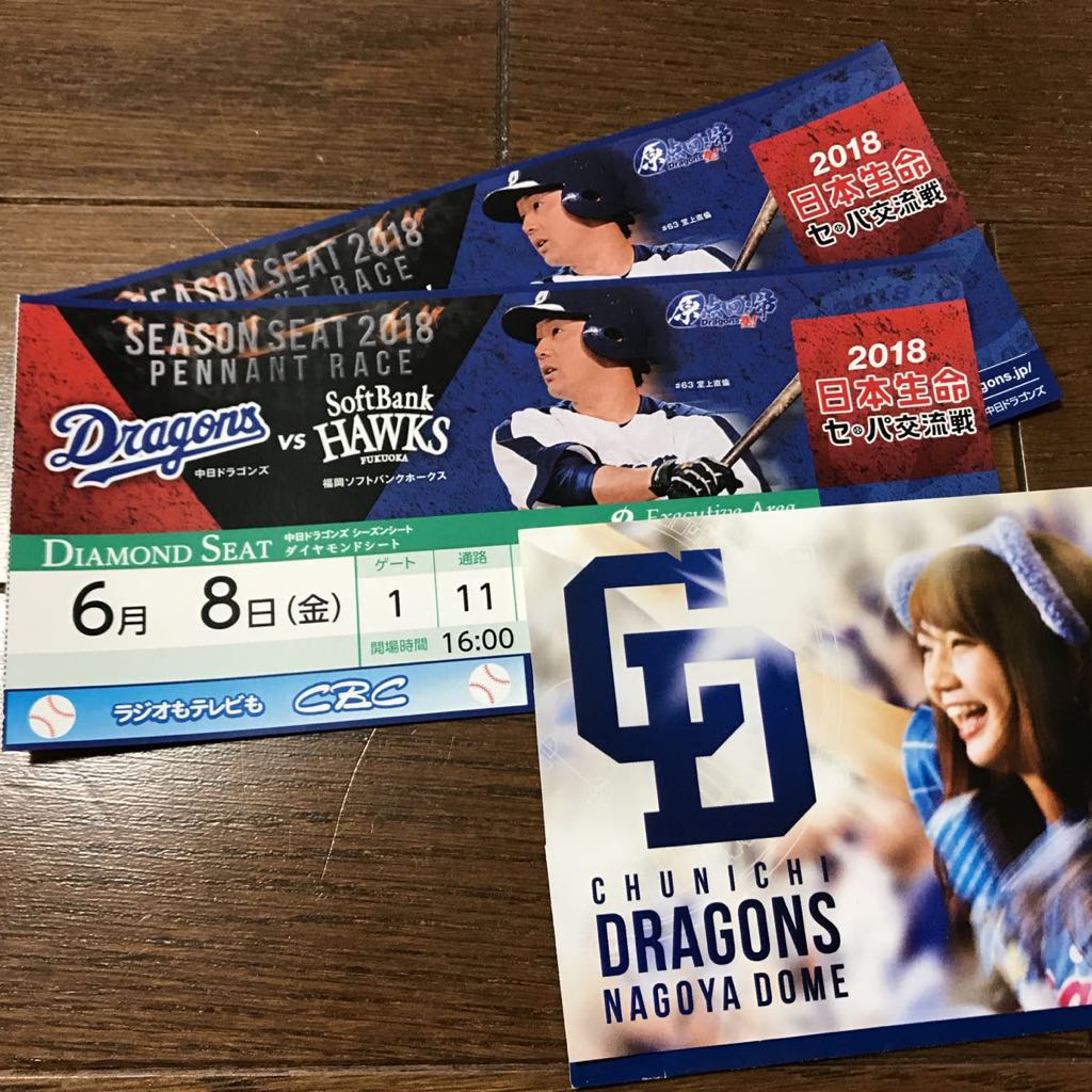 プレーバックセ・パ交流戦3回戦 日本ハム1－4中日（6月22日 6.3 