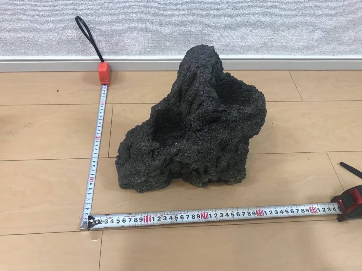 ADA ADA 雲山石 Lサイズ 雲山石 3つ穴 Lサイズ ADA雲山石