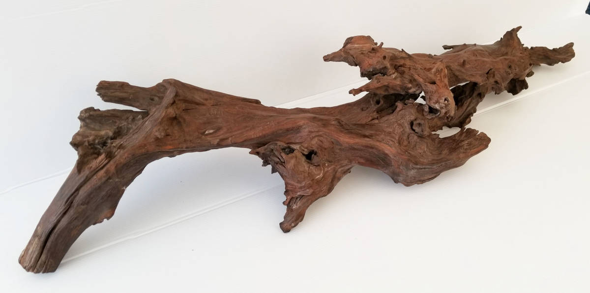 なつめ（屋久杉）木箱入り 棗 やくすぎ 和風 木製 茶会 銘木 P04811 角