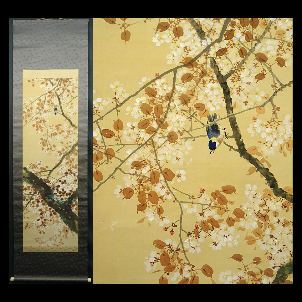 模写】緑屋□i9*a 掛軸 箱付 竹村秋峰『桜』/絹本 花鳥図 掛け軸 06159#100
