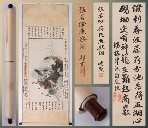 掛け軸】「赤鯉図 張若澄」中国清代画家 肉筆保證 唐物唐本(掛軸