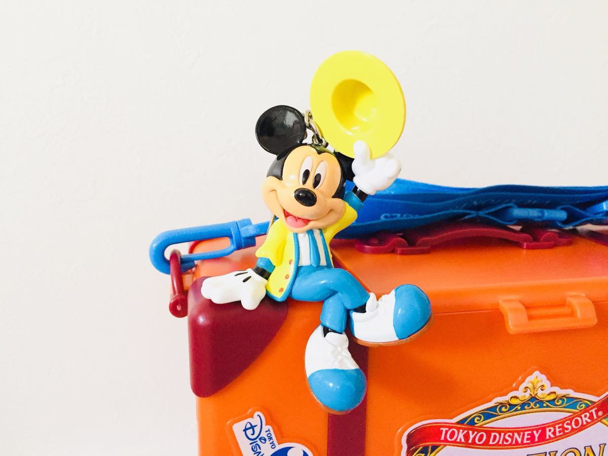 ◇TDR◇ディズニーランド 35周年 バケーションパッケージ オリジナル