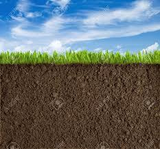 1円で即決！ 相互評価 画像データ/フリー素材 相互評価～送料無料～り_1