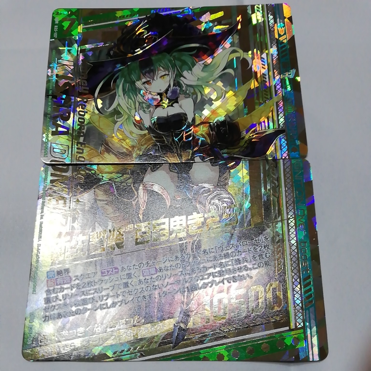 サボテン 多肉植物 125 ラフィオナクメ ルーセンス Raphionacme lucens