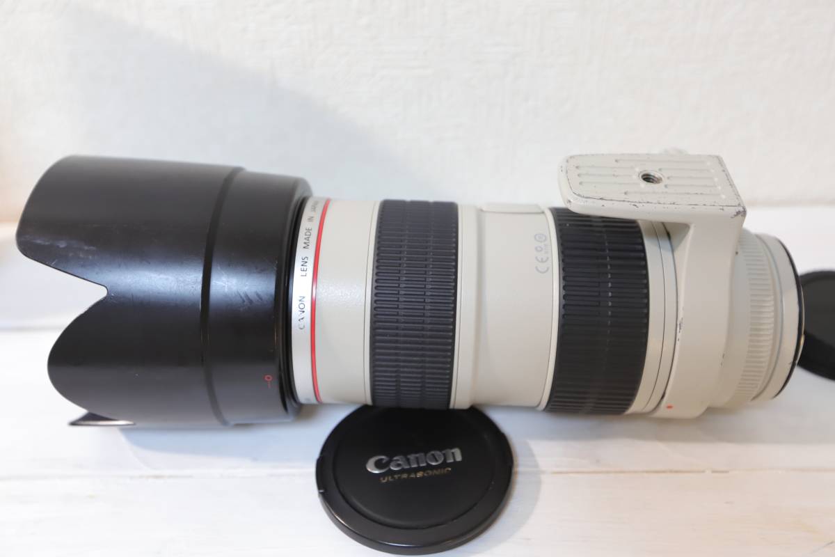 Canon 70-200mm USM EF IS Lens f⁄2.8L II L - Zoom RF Telephoto :