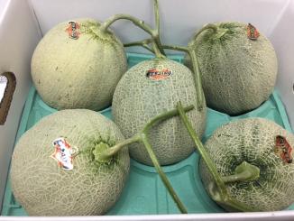 夕張メロン・共撰 ☆ 優品5玉入り1箱 予約夕張メロン 優品 【公式通販】