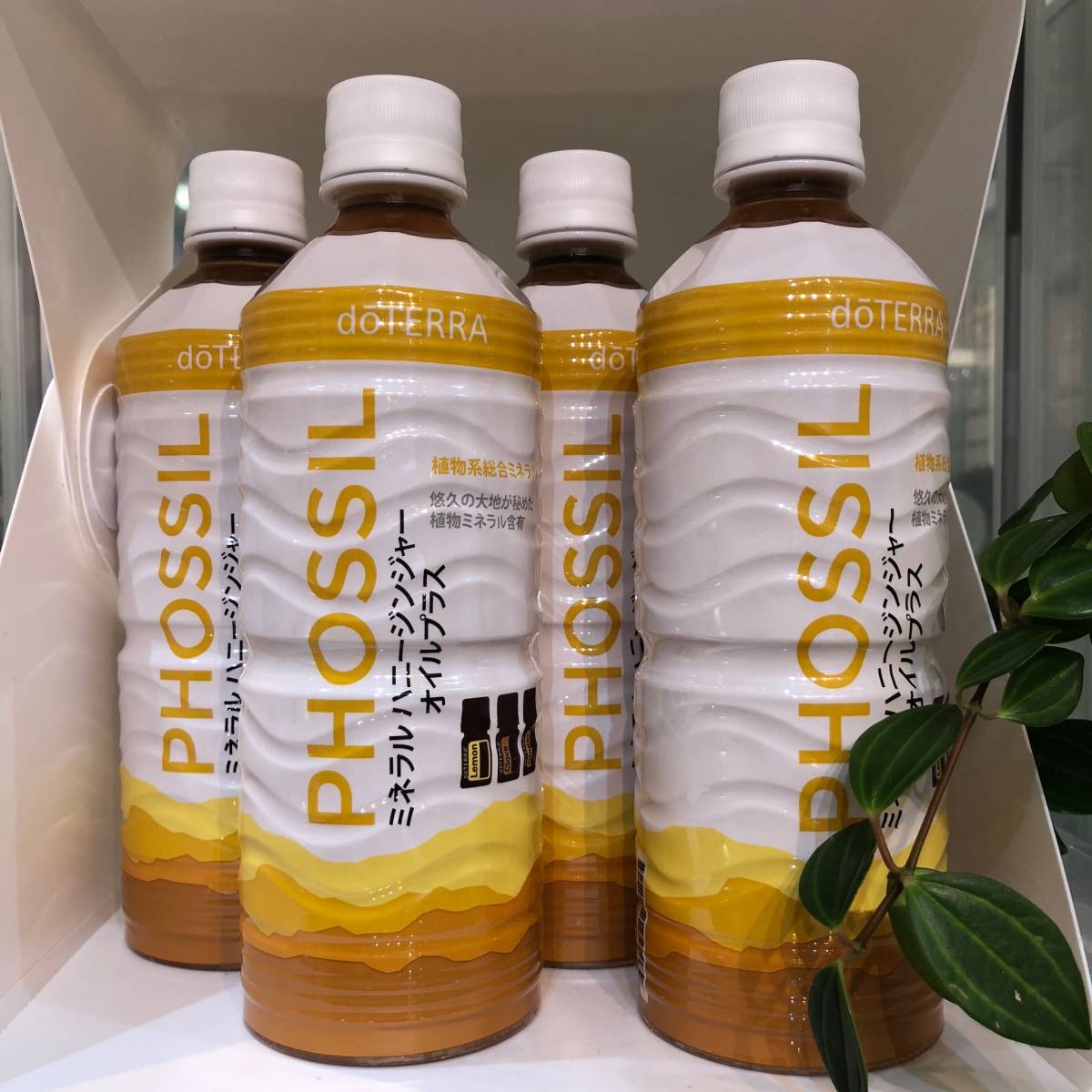 doTERRA ドテラ PHOSSIL ミネラル ハニージンジャー オイルプラス 