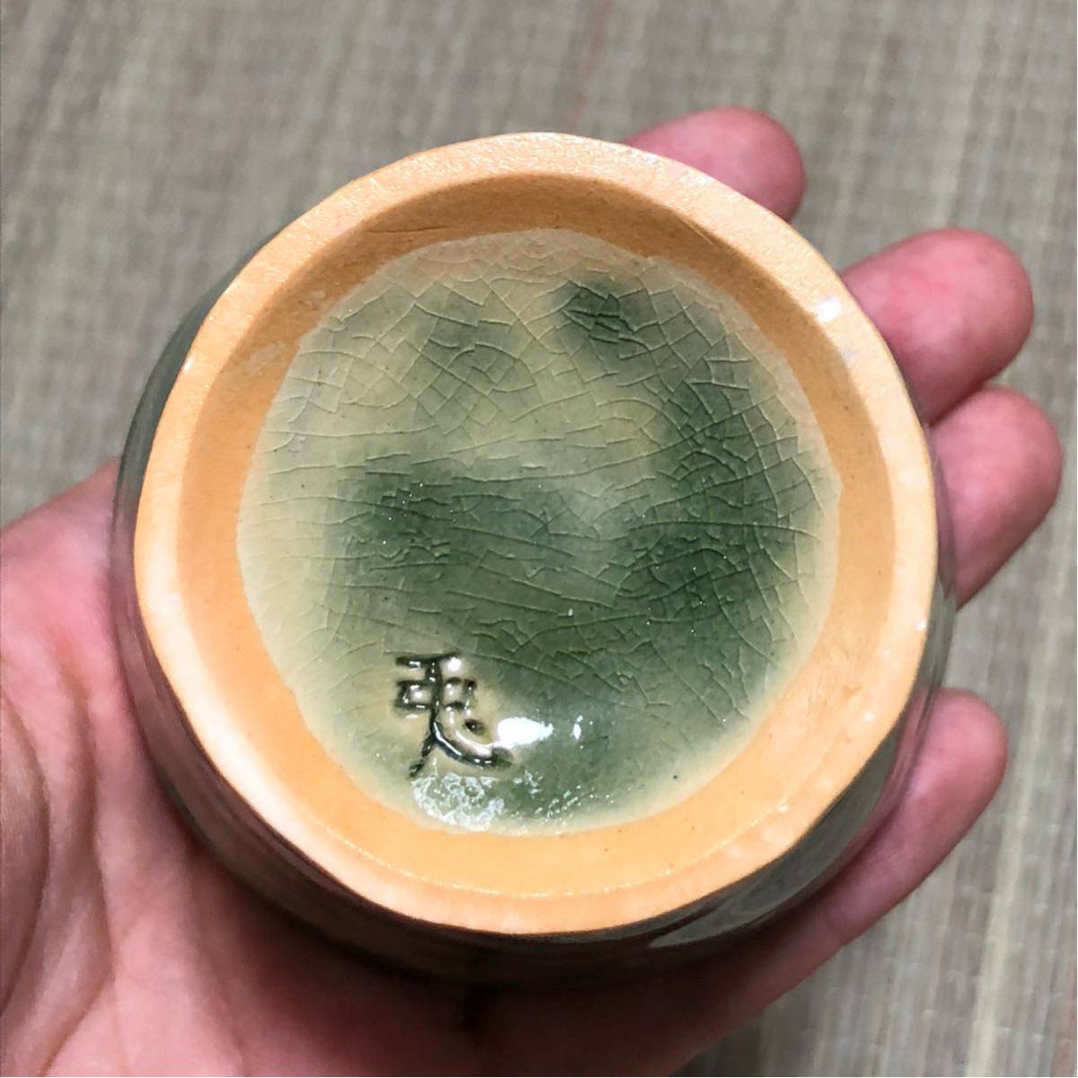お得 オウムガイのぐい呑 【公式通販】