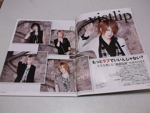 ≪ vistlip ヴィストリップ 表紙&特集 フールズメイト 2012.10 ＋ 