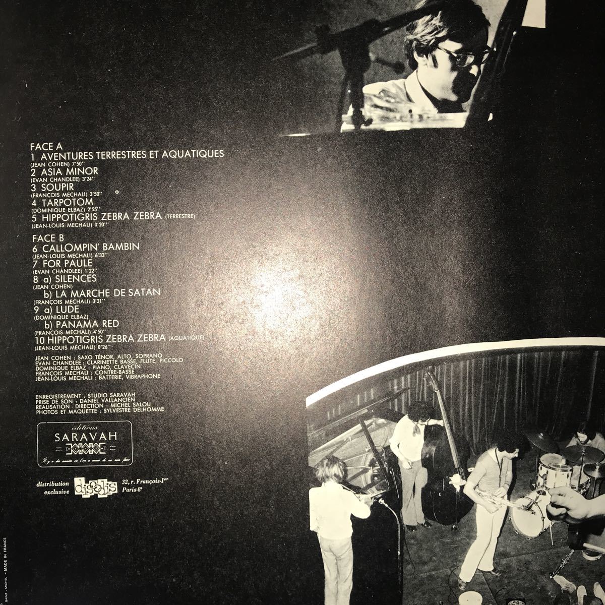 Zebra Hippotigris Cohelmec Ensemble Records – | Zebrazebra Souffle 
