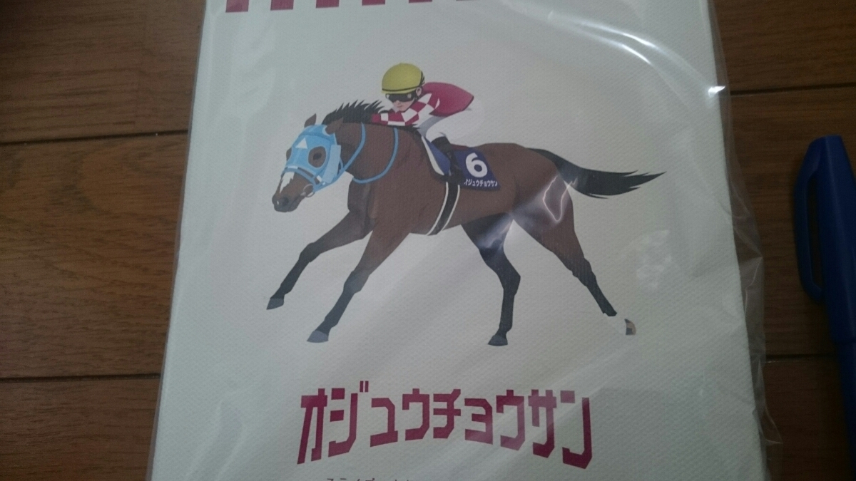 ②◇ 競馬 JRA ◇オジュウチョウサン◇引退記念グッズ◇マグカップ 缶