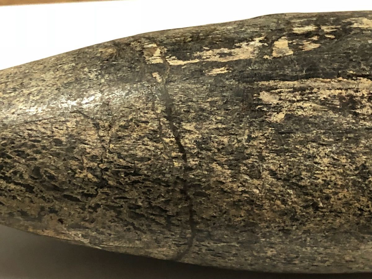 牙 マンモス 一本牙 - 根付 マンモス牙 龍 一本物 馬 彫刻 光玉刻