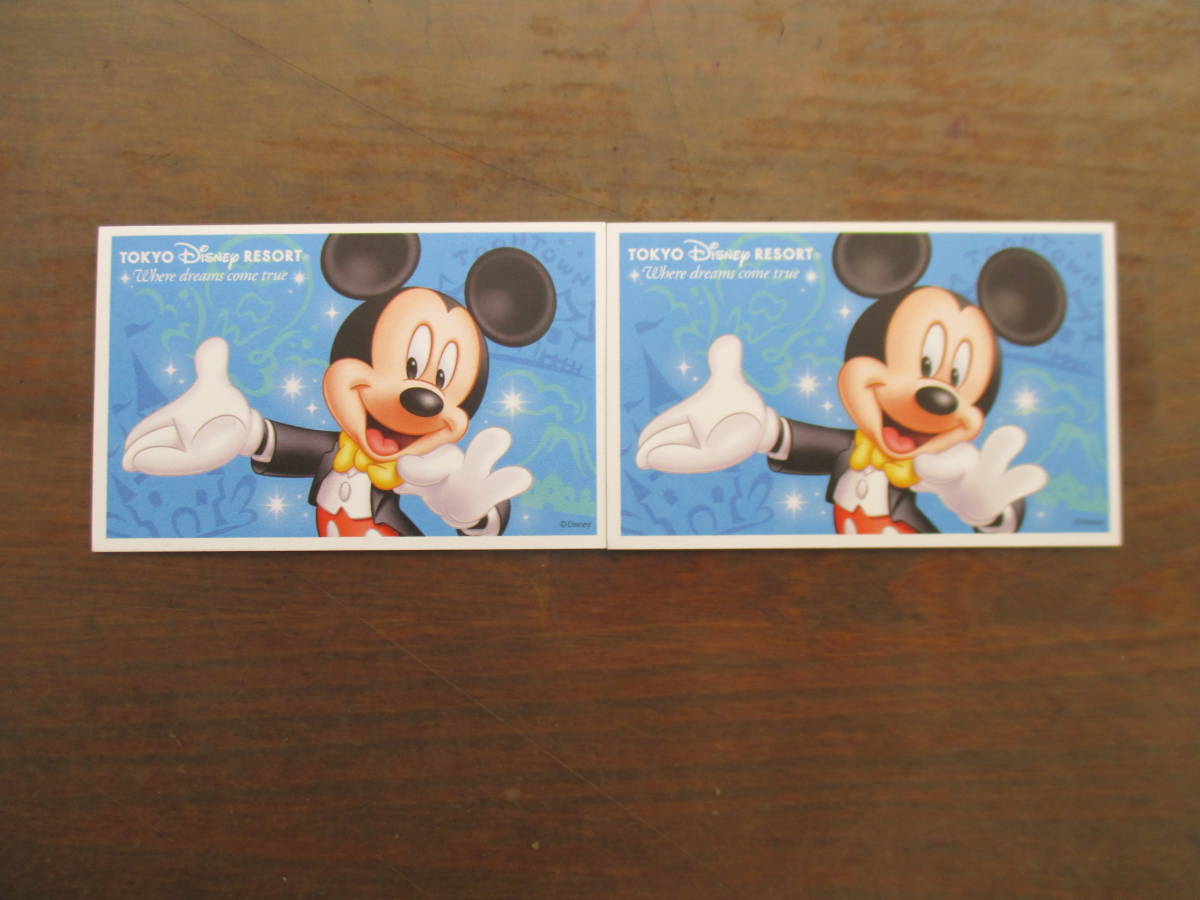 東京ディズニーシー 団体パスポート 大人 2枚 要：入園日変更 2026年7