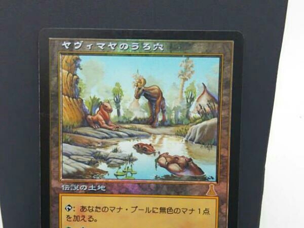 MTG UDS ヤヴィマヤのうろ穴 日本語 FOIL 1枚 MTG UDS ヤヴィマヤのうろ穴 日本語 FOIL 1枚 Foil《ヤヴィマヤのうろ