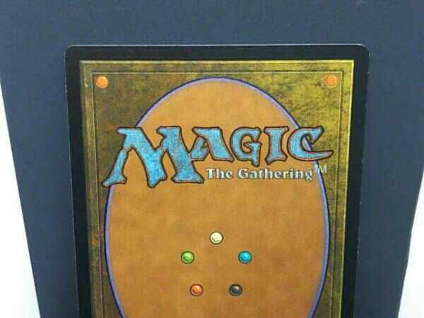 MTG UDS ヤヴィマヤのうろ穴 foil 日本語 ヤヴィマヤのうろ穴⁄Yavimaya