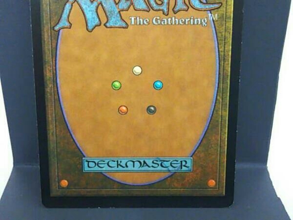 MTG UDS ヤヴィマヤのうろ穴 日本語 FOIL 1枚 Foil《ヤヴィマヤのうろ