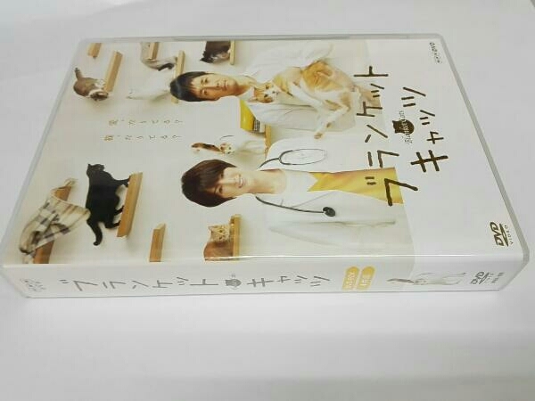 DVD ブランケット・キャッツ DVD-BOX